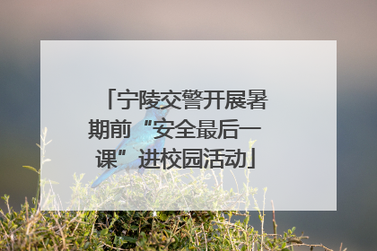 宁陵交警开展暑期前“安全最后一课”进校园活动