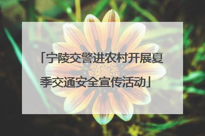 宁陵交警进农村开展夏季交通安全宣传活动