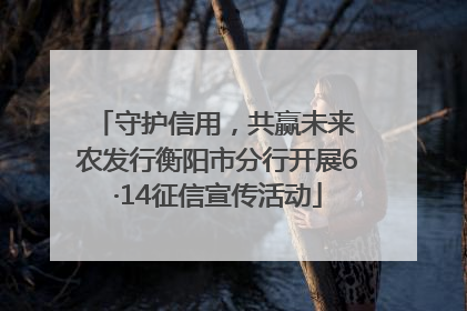 守护信用，共赢未来 农发行衡阳市分行开展6·14征信宣传活动