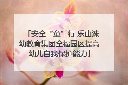 安全“童”行 乐山洙幼教育集团全福园区提高幼儿自我保护能力