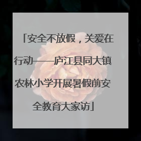安全不放假，关爱在行动——庐江县同大镇农林小学开展暑假前安全教育大家访