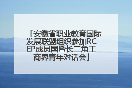 安徽省职业教育国际发展联盟组织参加RCEP成员国暨长三角工商界青年对话会