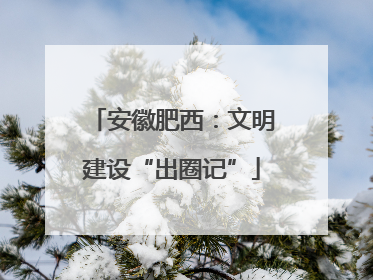 安徽肥西：文明建设“出圈记”