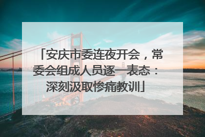 安庆市委连夜开会，常委会组成人员逐一表态：深刻汲取惨痛教训