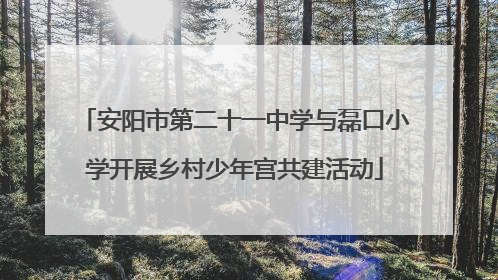 安阳市第二十一中学与磊口小学开展乡村少年宫共建活动