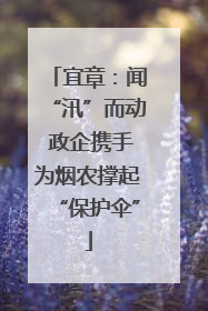 宜章：闻“汛”而动 政企携手为烟农撑起“保护伞”