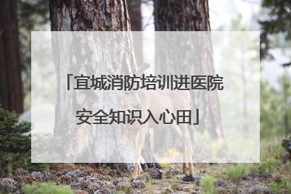 宜城消防培训进医院 安全知识入心田