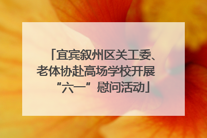 宜宾叙州区关工委、老体协赴高场学校开展“六一”慰问活动