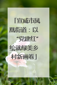 宣威市凤凰街道：以“党建红”绘就绿美乡村新画卷
