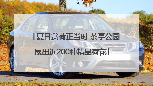 夏日赏荷正当时 茶亭公园展出近200种精品荷花