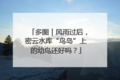 多图｜风雨过后，密云水库“鸟岛”上的幼鸟还好吗？