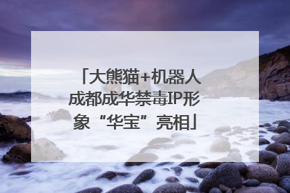 大熊猫+机器人 成都成华禁毒IP形象“华宝”亮相
