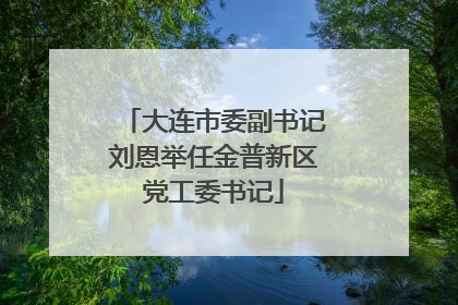大连市委副书记刘恩举任金普新区党工委书记