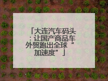 大连汽车码头：让国产商品车外贸跑出全球“加速度”