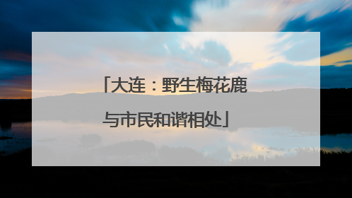 大连：野生梅花鹿与市民和谐相处