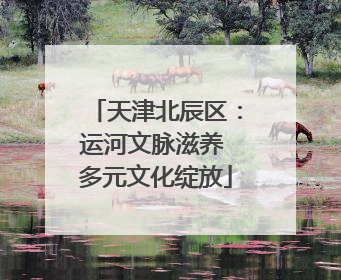天津北辰区：运河文脉滋养 多元文化绽放