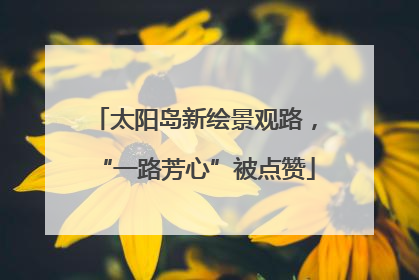 太阳岛新绘景观路，“一路芳心”被点赞
