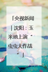 央视新闻｜沈阳：玉米地上演“虫虫大作战”