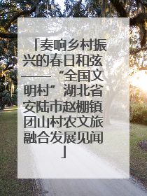 奏响乡村振兴的春日和弦——“全国文明村”湖北省安陆市赵棚镇团山村农文旅融合发展见闻