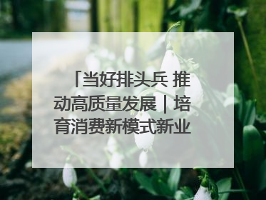 当好排头兵 推动高质量发展｜培育消费新模式新业态 释放经济增长新动能