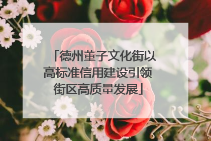 德州董子文化街以高标准信用建设引领街区高质量发展