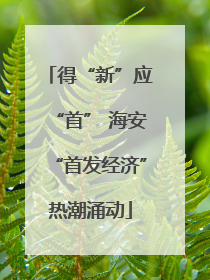 得“新”应“首” 海安“首发经济”热潮涌动