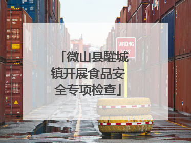 微山县驩城镇开展食品安全专项检查