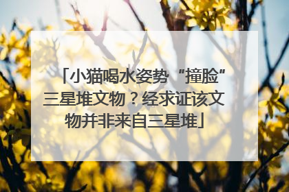 小猫喝水姿势“撞脸”三星堆文物？经求证该文物并非来自三星堆