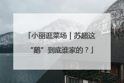 小丽逛菜场｜苏超这“鹅”到底谁家的？