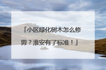 小区绿化树木怎么修剪？淮安有了标准！