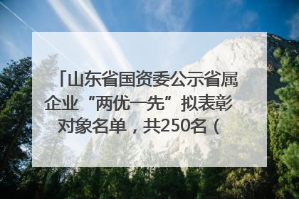 山东省国资委公示省属企业“两优一先”拟表彰对象名单，共250名（个）党员和党组织