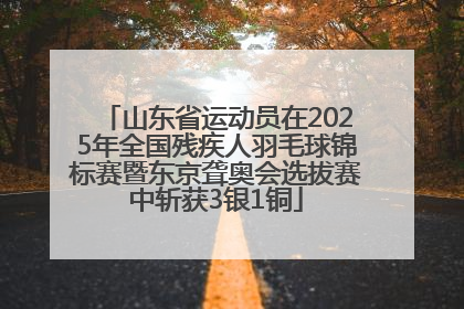 山东省运动员在2025年全国残疾人羽毛球锦标赛暨东京聋奥会选拔赛中斩获3银1铜