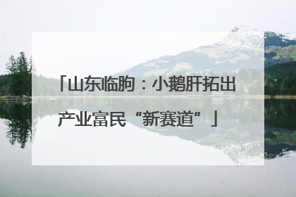 山东临朐：小鹅肝拓出产业富民“新赛道”