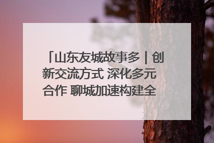 山东友城故事多｜创新交流方式 深化多元合作 聊城加速构建全球友城新格局