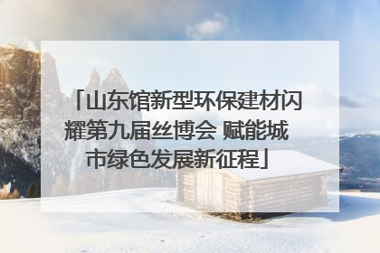 山东馆新型环保建材闪耀第九届丝博会 赋能城市绿色发展新征程