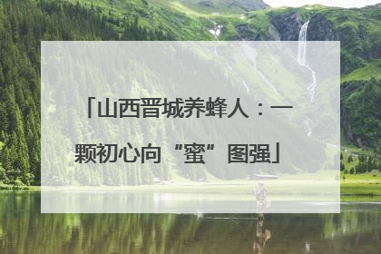 山西晋城养蜂人：一颗初心向“蜜”图强