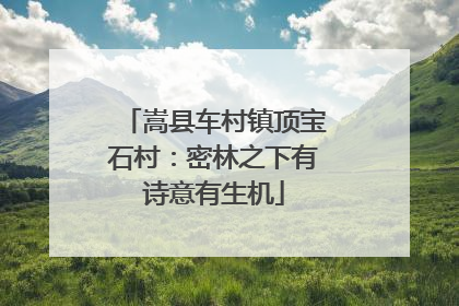 嵩县车村镇顶宝石村：密林之下有诗意有生机