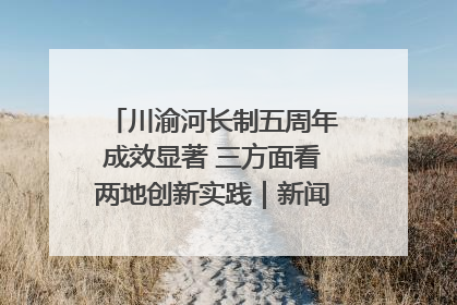 川渝河长制五周年成效显著 三方面看两地创新实践｜新闻发布最前线