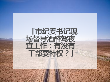 市纪委书记现场督导酒醉驾夜查工作：有没有干部耍特权？