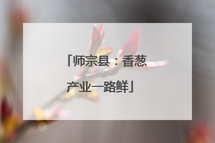 师宗县：香葱产业一路鲜