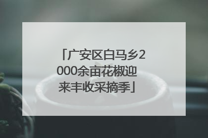 广安区白马乡2000余亩花椒迎来丰收采摘季