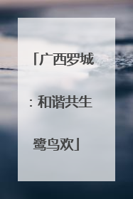 广西罗城：和谐共生鹭鸟欢