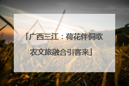 广西三江：荷花伴侗歌 农文旅融合引客来