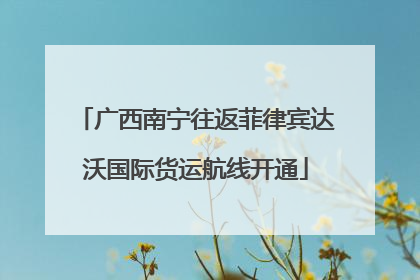 广西南宁往返菲律宾达沃国际货运航线开通
