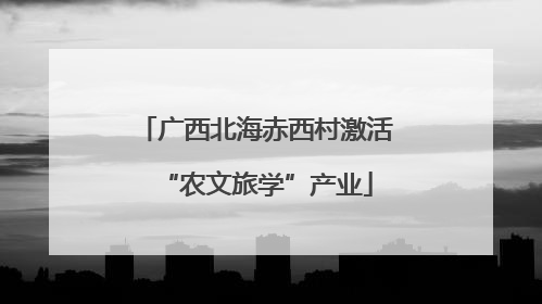 广西北海赤西村激活“农文旅学”产业