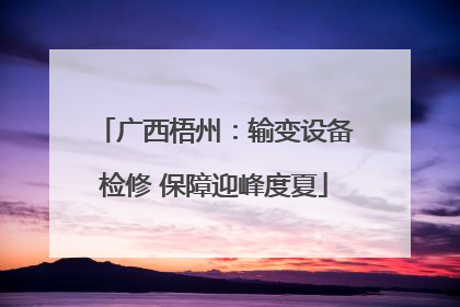 广西梧州：输变设备检修 保障迎峰度夏