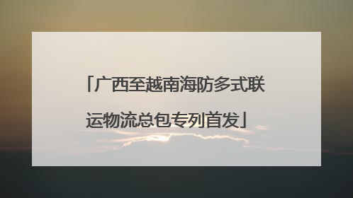 广西至越南海防多式联运物流总包专列首发