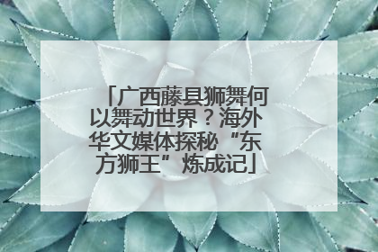 广西藤县狮舞何以舞动世界？海外华文媒体探秘“东方狮王”炼成记