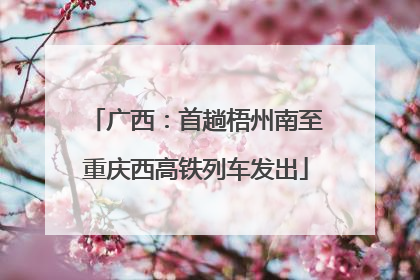 广西：首趟梧州南至重庆西高铁列车发出