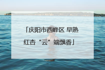 庆阳市西峰区 早熟红杏“云”端飘香